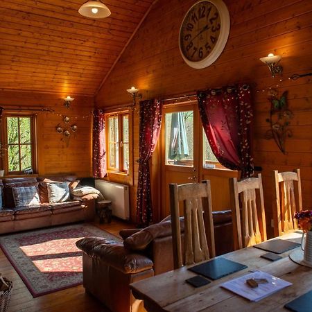 George Cabin - Log Cabin In Wales With Hot Tub ニュータウン エクステリア 写真