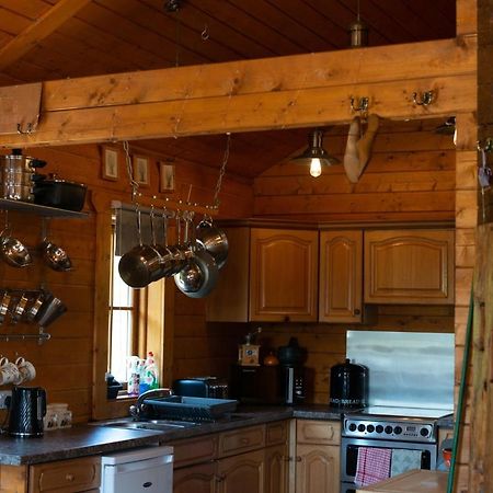 George Cabin - Log Cabin In Wales With Hot Tub ニュータウン エクステリア 写真