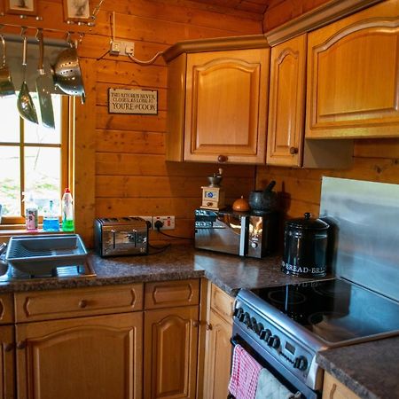 George Cabin - Log Cabin In Wales With Hot Tub ニュータウン エクステリア 写真