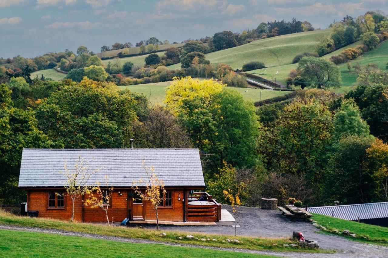 George Cabin - Log Cabin In Wales With Hot Tub ニュータウン エクステリア 写真
