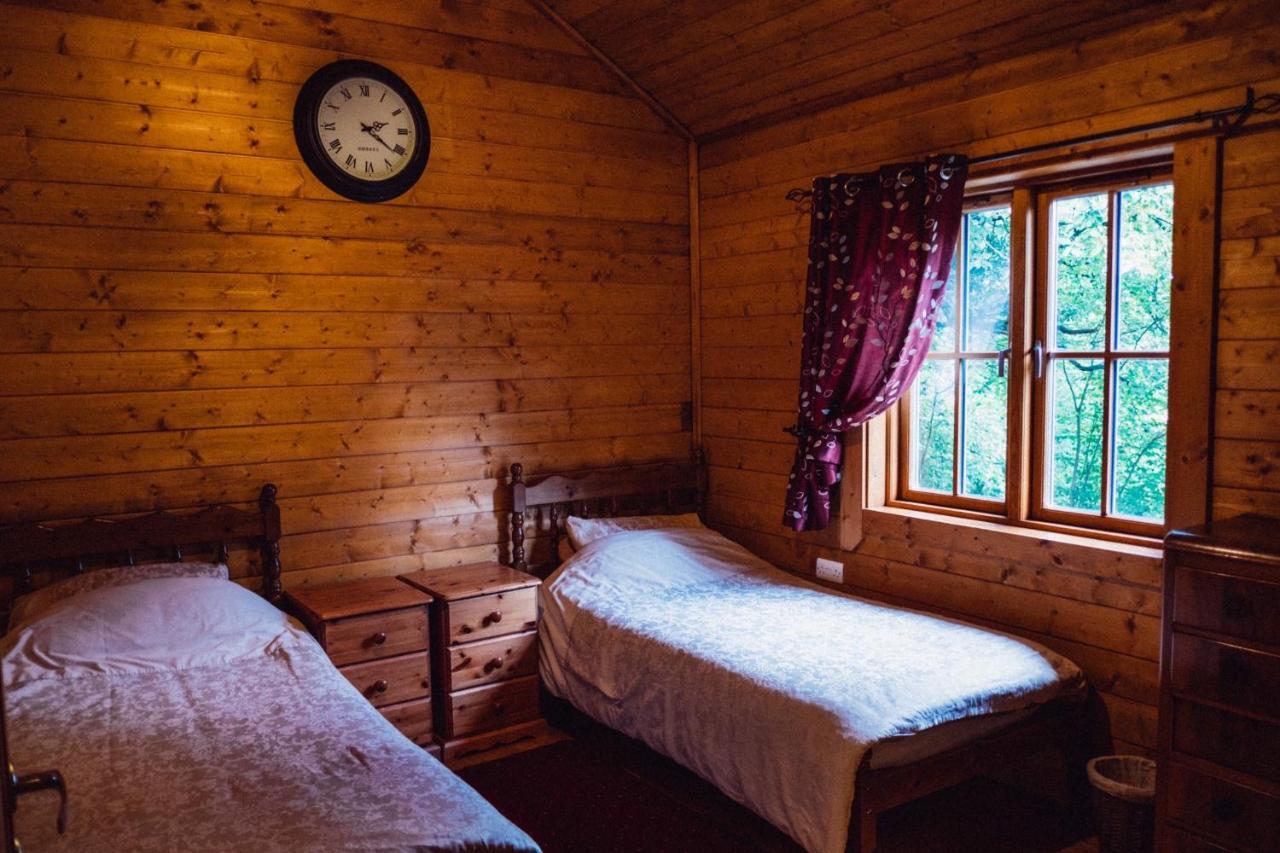 George Cabin - Log Cabin In Wales With Hot Tub ニュータウン エクステリア 写真