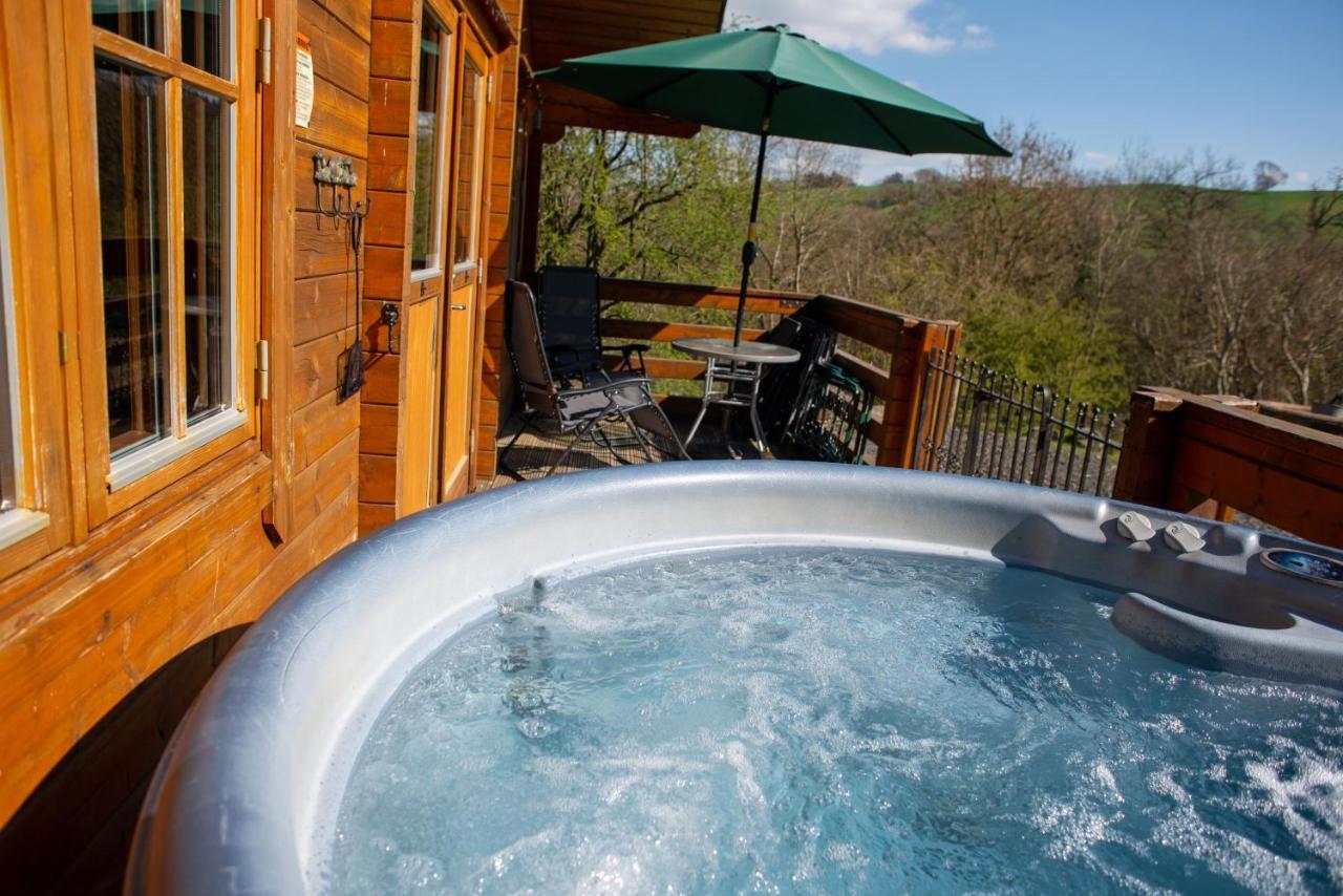 George Cabin - Log Cabin In Wales With Hot Tub ニュータウン エクステリア 写真