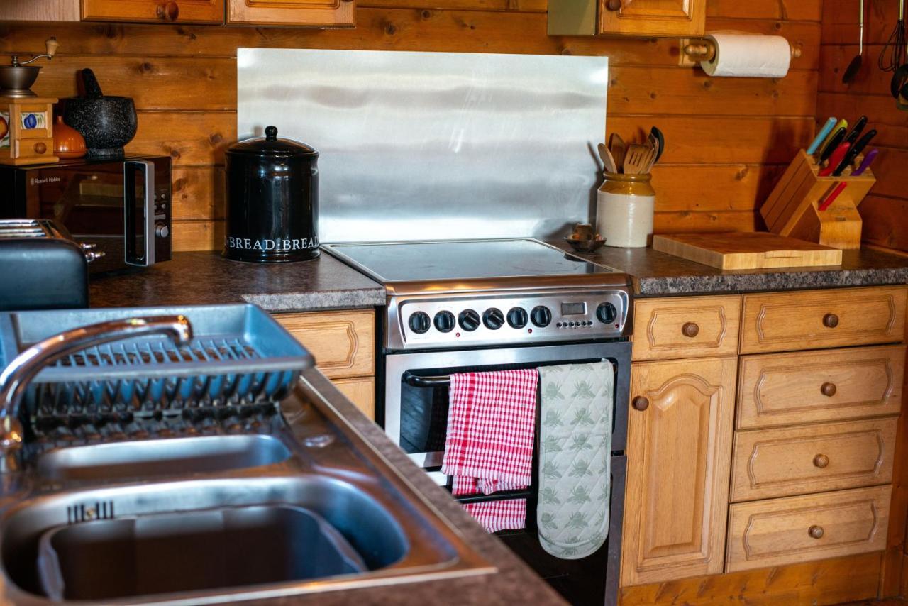 George Cabin - Log Cabin In Wales With Hot Tub ニュータウン エクステリア 写真
