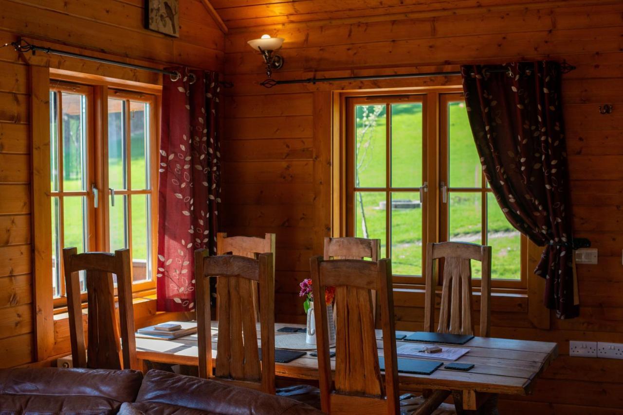 George Cabin - Log Cabin In Wales With Hot Tub ニュータウン エクステリア 写真
