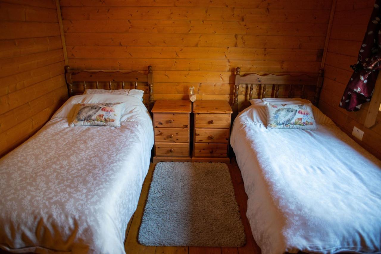 George Cabin - Log Cabin In Wales With Hot Tub ニュータウン エクステリア 写真