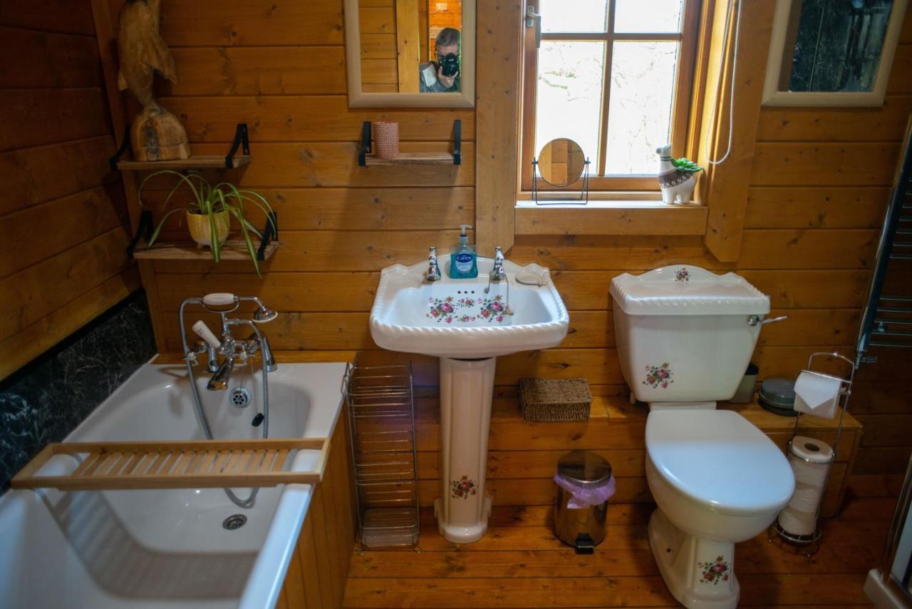 George Cabin - Log Cabin In Wales With Hot Tub ニュータウン エクステリア 写真