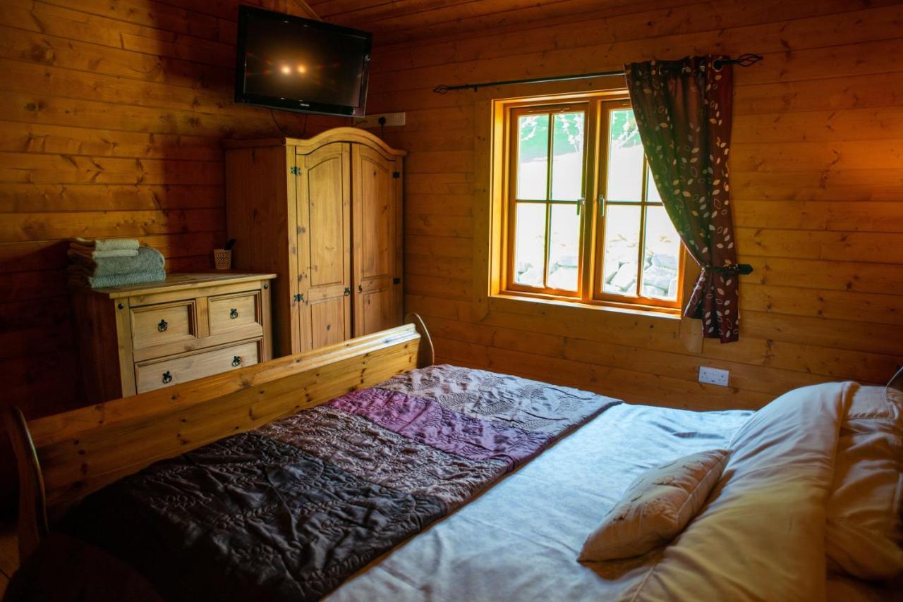 George Cabin - Log Cabin In Wales With Hot Tub ニュータウン エクステリア 写真