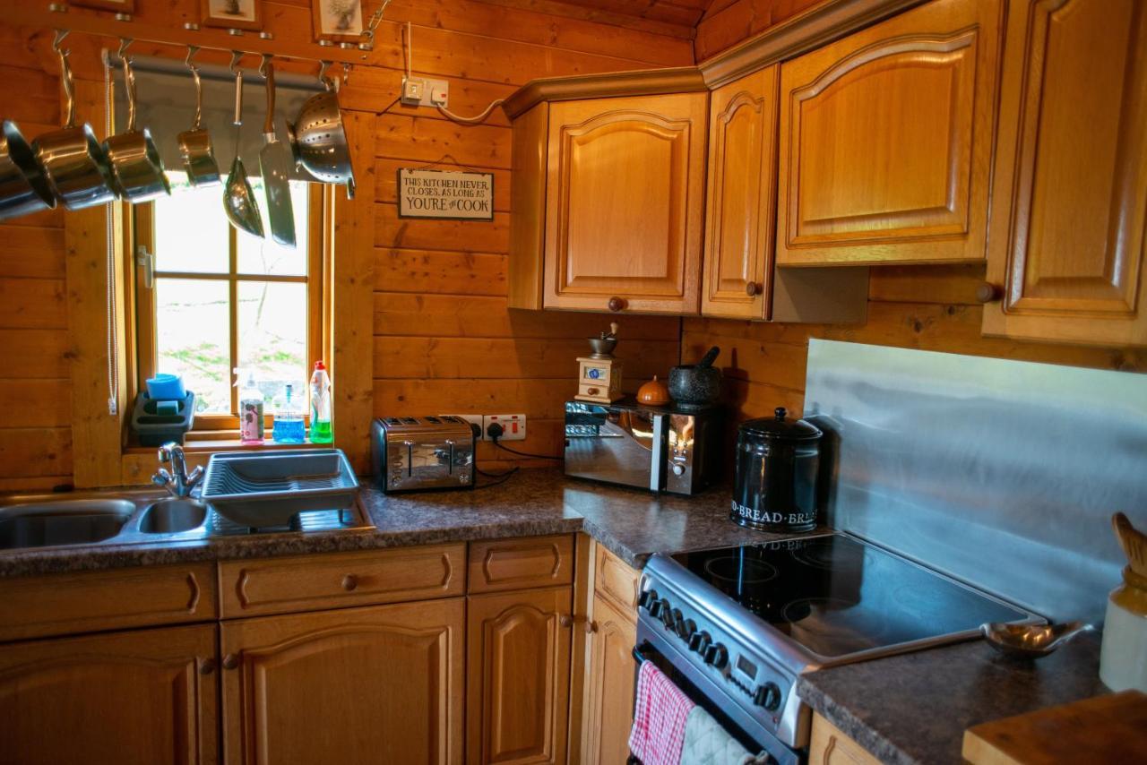 George Cabin - Log Cabin In Wales With Hot Tub ニュータウン エクステリア 写真